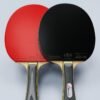 SportsX Power Table Tennis Racquet – ITTF Approved | Pro-Level Control & Spin