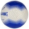 Spalding Sports Soccer Ball 64-923Y