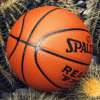 Spalding Sports Basketball 76-846Y