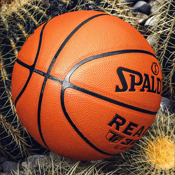 Spalding Sports Basketball 76-846Y