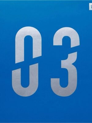 VICTAS V>03 - Offensive Table Tennis Rubber