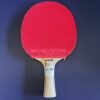 729 1060 Table Tennis Paddle / Racket / Bat, Melbourne