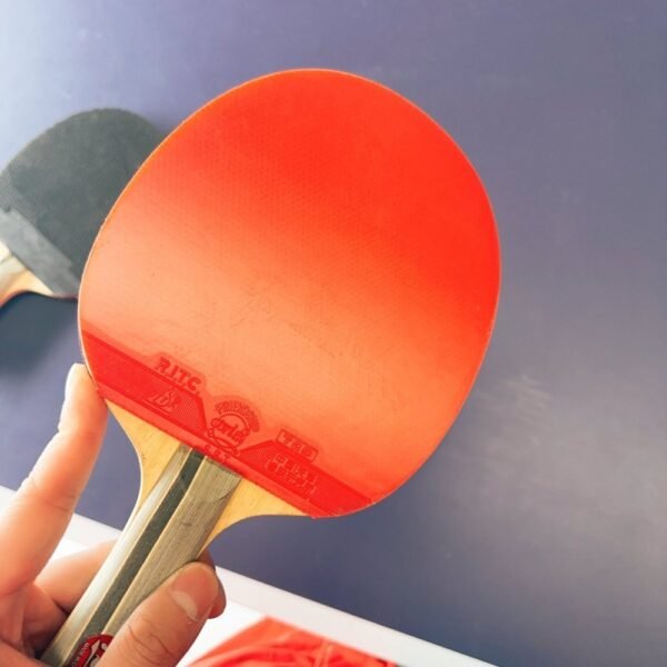 729-Friendship-RITC-1-STAR-Table-Tennis-Bat-Ping-P-1.jpg 729 Friendship RITC 1 STAR Table Tennis Bat Ping Pong Paddle