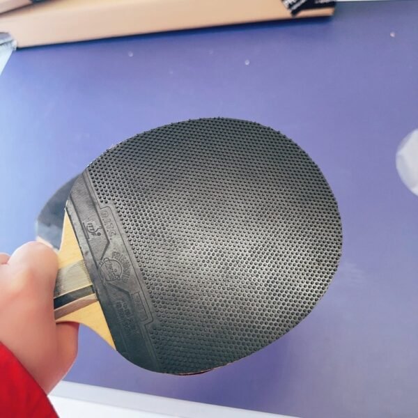 729-Friendship-RITC-1-STAR-Table-Tennis-Bat-Ping-P-10.jpg 729 Friendship RITC 1 STAR Table Tennis Bat Ping Pong Paddle