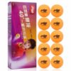 DHS 1 star D40+ Table Tennis ball