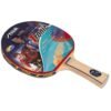 CLEARANCE SALE STIGA 1 STAR Table Tennis Bat 5 Layers Wooden (TRONIC/FORCE/TROPHY)