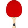 CLEARANCE SALE STIGA 1 STAR Table Tennis Bat 5 Layers Wooden (TRONIC/FORCE/TROPHY)
