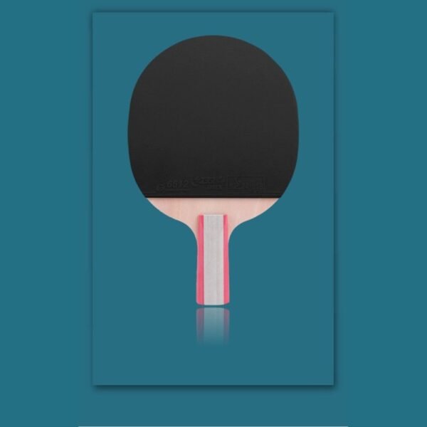 DHS 1 Star H1006,H1002 Table Tennis Bat Racket