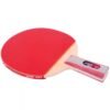 DHS 1 Star H1006,H1002 Table Tennis Bat Racket