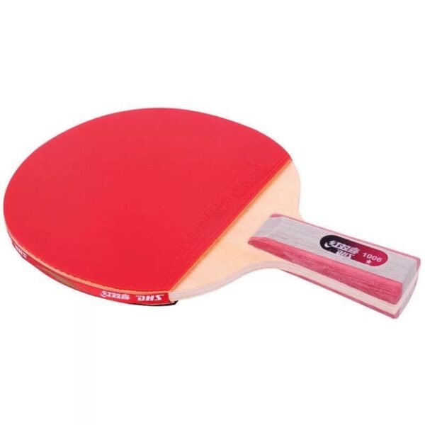 DHS 1 Star H1006,H1002 Table Tennis Bat Racket