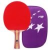 DHS 2 Star H2002,H2006 Table Tennis Bat Racket