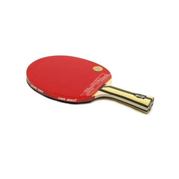 DHS-4-Star-H4002-H4006-T4006Table-Tennis-Bat-Racke-2.jpg DHS 4 Star Table Tennis Bat Racket(Hurricane 3 + G888 Rubber)
