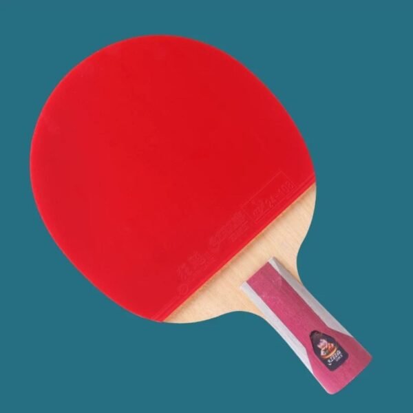 DHS 6 Star Table Tennis Bat Racket Ping Pong Free Bat Case(6002/6006)