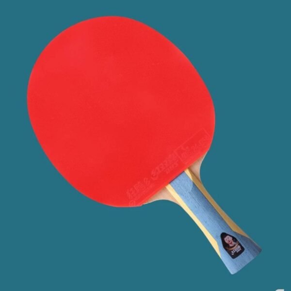 DHS 6 Star Table Tennis Bat Racket Ping Pong Free Bat Case(6002/6006)
