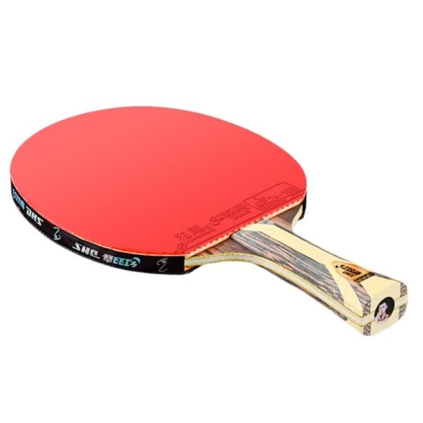 DHS 9 Star H9002,H9006 Table Tennis Bat Racket