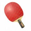 CLEARANCE SALE STIGA 2 STAR Table Tennis Bat 5 Layers wooden(Target/Power/Scorpio/Spectra/Warrior)