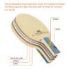 LOKI K5 5-Layer Solid Wood Table Tennis Blade