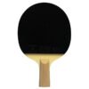 Double Fish 9A 9 stars Liu Shiwen Table Tennis Racket