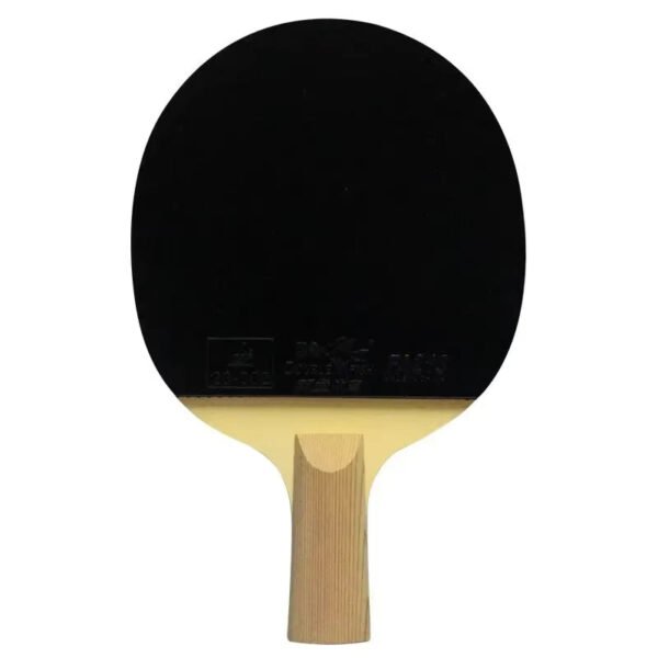Double Fish 9A 9 stars Liu Shiwen Table Tennis Racket