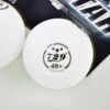 729 Friendship 3 Stars Seamless Table Tennis Ball