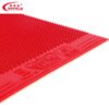 TUTTLE Winter 3E Pimples Out Special Table Tennis Rubber
