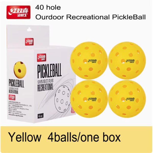 DHS Tournament Pickleball 40 Holes