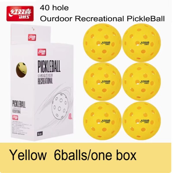 DHS Tournament Pickleball 40 Holes