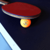 SPPHONEIX 3 Star Table Tennis Balls