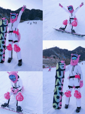 Ski Butt Tailbone Protection Gear  Ski Hip Pad Turtle Hip Padded Snowboarding AU