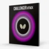 Challenger Attack