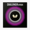 Challenger Attack