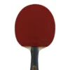 Fan Zhendong ALC with Dignics 09c & Zyre 03 Rubbers