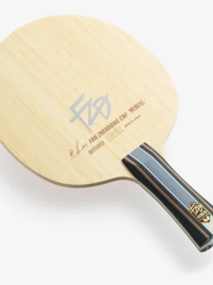 Fan Zhendong CNF Fan Zhendong CNF