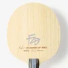 Fan Zhendong CNF