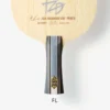 Fan Zhendong CNF