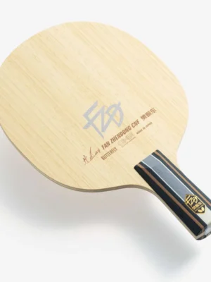Fan Zhendong CNF CS Fan Zhendong CNF CS