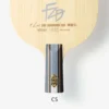 Fan Zhendong CNF CS