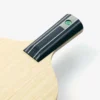 Fan Zhendong ZLC CS