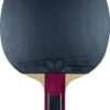 Mizutani Jun ZLC Blade with Dignics 80 Rubbers