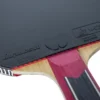 Mizutani Jun ZLC Blade with Dignics 80 Rubbers