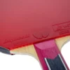 Mizutani Jun ZLC Blade with Dignics 80 Rubbers