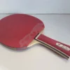 Mizutani Jun Major With Glayzer 09c Rubbers