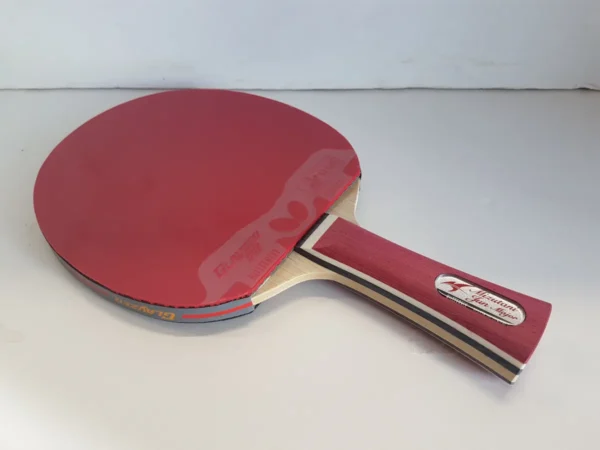 Mizutani Jun Major With Glayzer 09c Rubbers