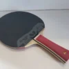 Mizutani Jun Major With Glayzer 09c Rubbers