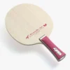 Mizutani Jun Major With Sriver Rubbers