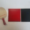 Mizutani Jun Major With Sriver Rubbers