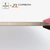 Mizutani Jun ZLC