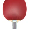 Viscaria Blade With Tenergy 05 Rubbers